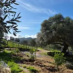 L'oliveraie Sartène