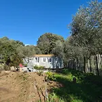 דירה L'oliveraie Sartène