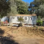L'oliveraie דירה Sartène