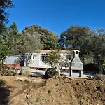 L'oliveraie * Sartène