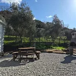L'oliveraie דירה
