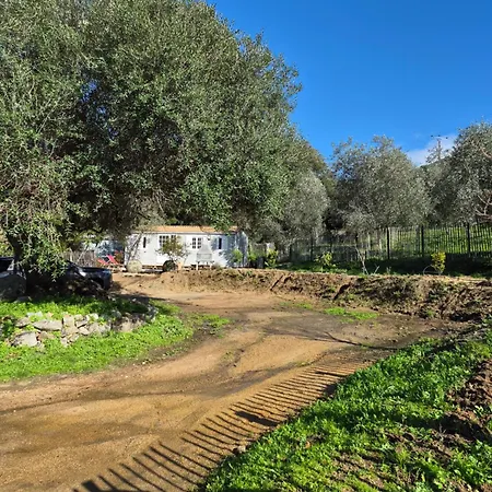 L'oliveraie Apartman Sartène