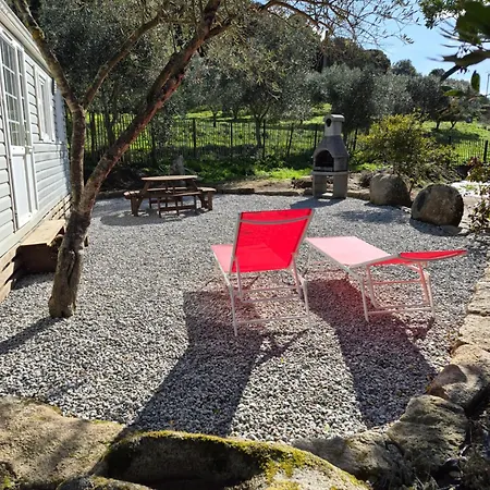 L'oliveraie Apartman Sartène