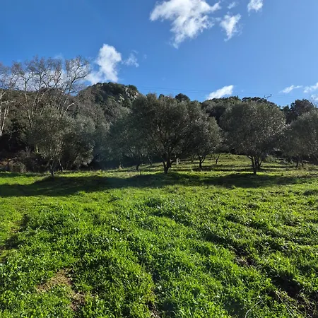 Apartman L'oliveraie