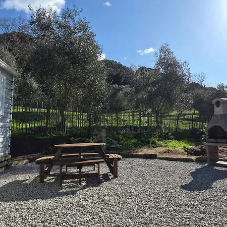 L'oliveraie Appartamento