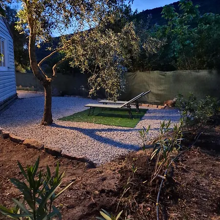 L'oliveraie *