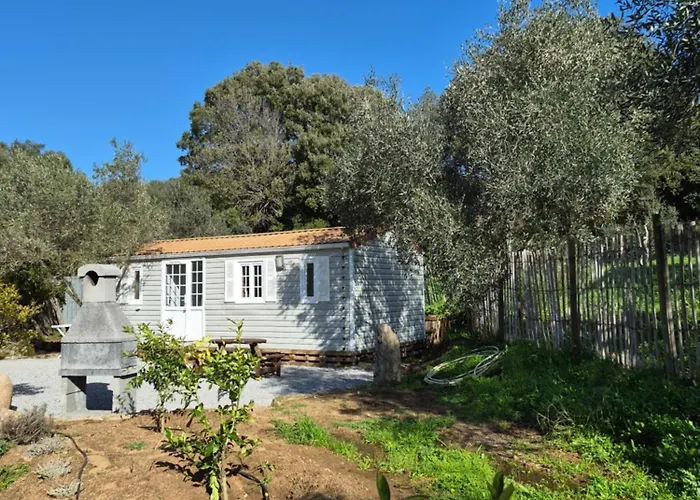 Mobile-home Au Cœur De L'oliveraie