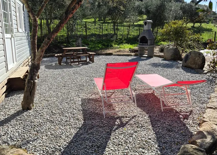 Mobile-home Au Cœur De L'oliveraie Appartement Sartène