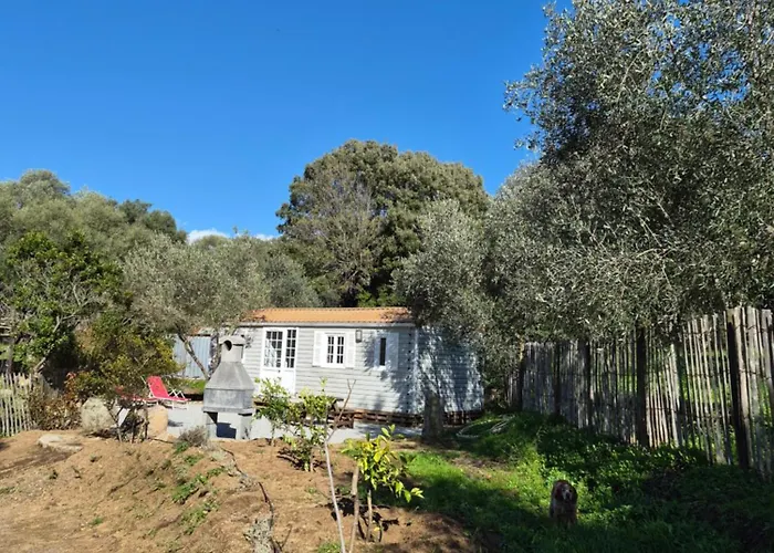 Appartement Mobile-home Au Cœur De L'oliveraie Sartène