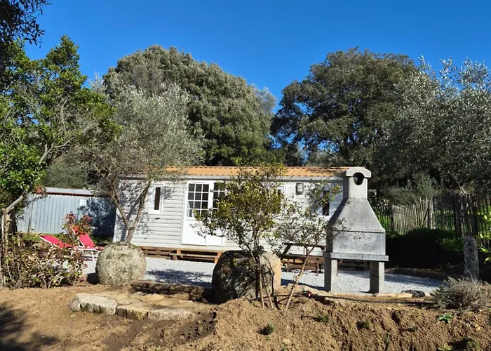 Mobile-home Au Cœur De L'oliveraie * Sartène